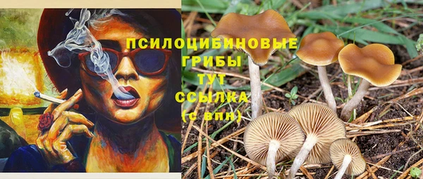 тгк Белоозёрский