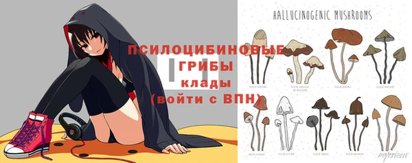 гидропоника Белокуриха