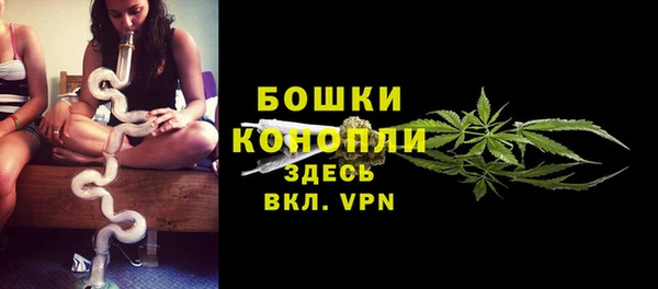 гидропоника Белокуриха
