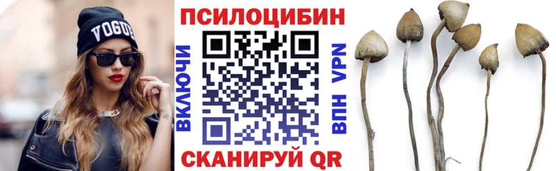 Псилоцибиновые грибы Psilocybine cubensis  где найти наркотики  Цоци-Юрт 